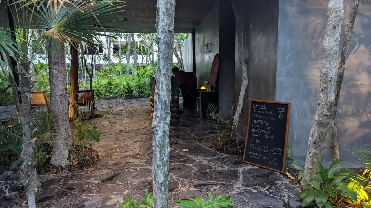 Exclusive Penthouse By Famous Interior Designer By Yeah Apartamento Tulum Exterior foto