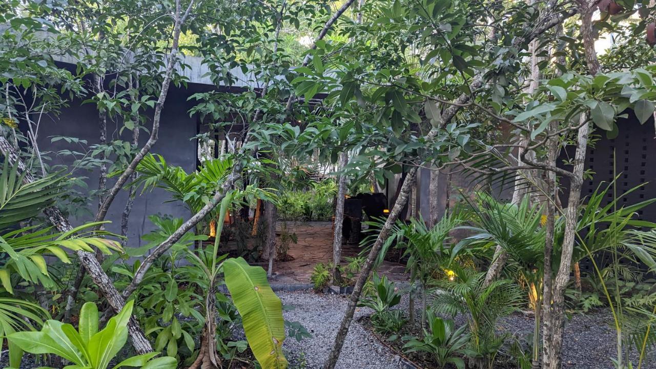 Exclusive Penthouse By Famous Interior Designer By Yeah Apartamento Tulum Exterior foto