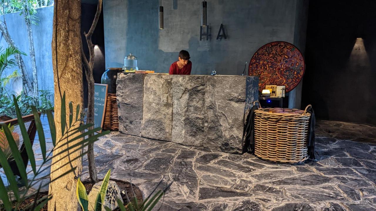 Exclusive Penthouse By Famous Interior Designer By Yeah Apartamento Tulum Exterior foto
