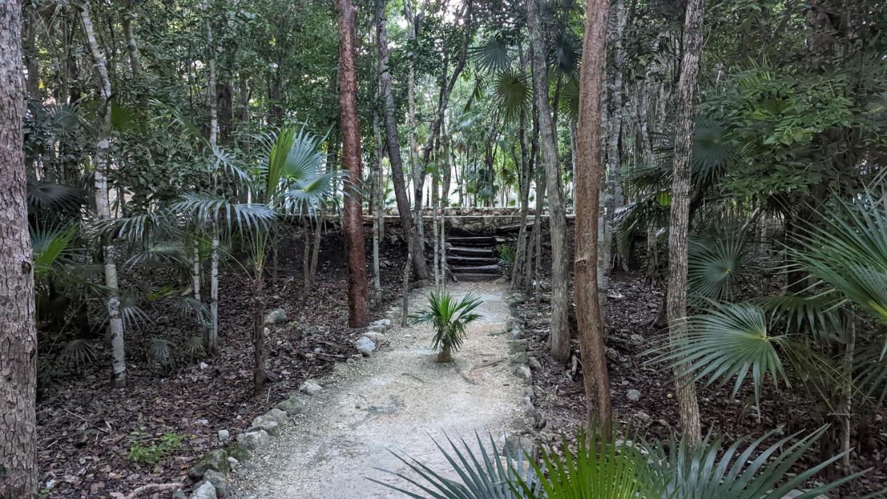 Exclusive Penthouse By Famous Interior Designer By Yeah Apartamento Tulum Exterior foto